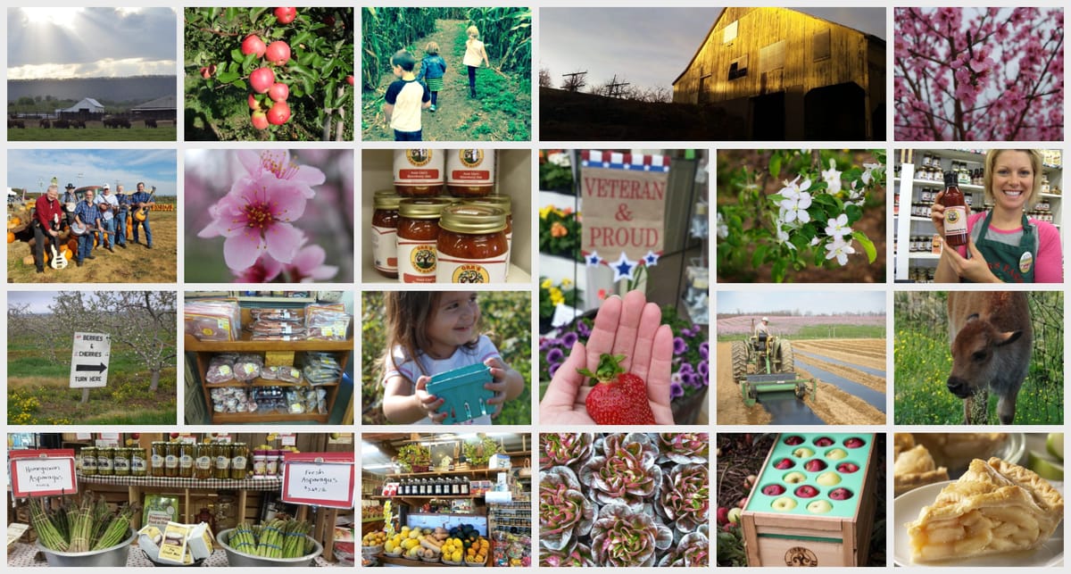 Orr's Farm Market — Pumpkins farm in Martinsburg, WV